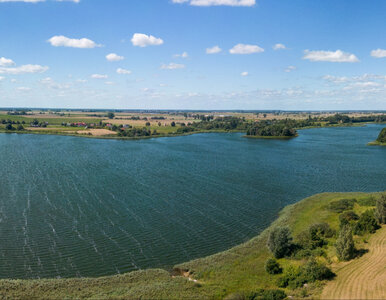 Miniatura: Niezwykle rzadkie odkrycie na dnie jeziora...