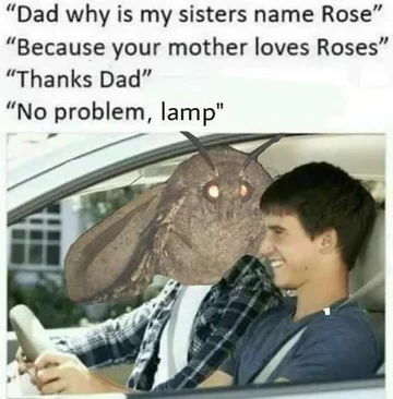 Mem z ćmą 