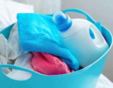 Miniatura: To jedna pomyłka, która może zrujnować...