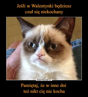 Memy na Walentynki 