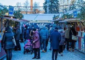Miniatura: Jak uniknąć zachorowania przed świętami?...