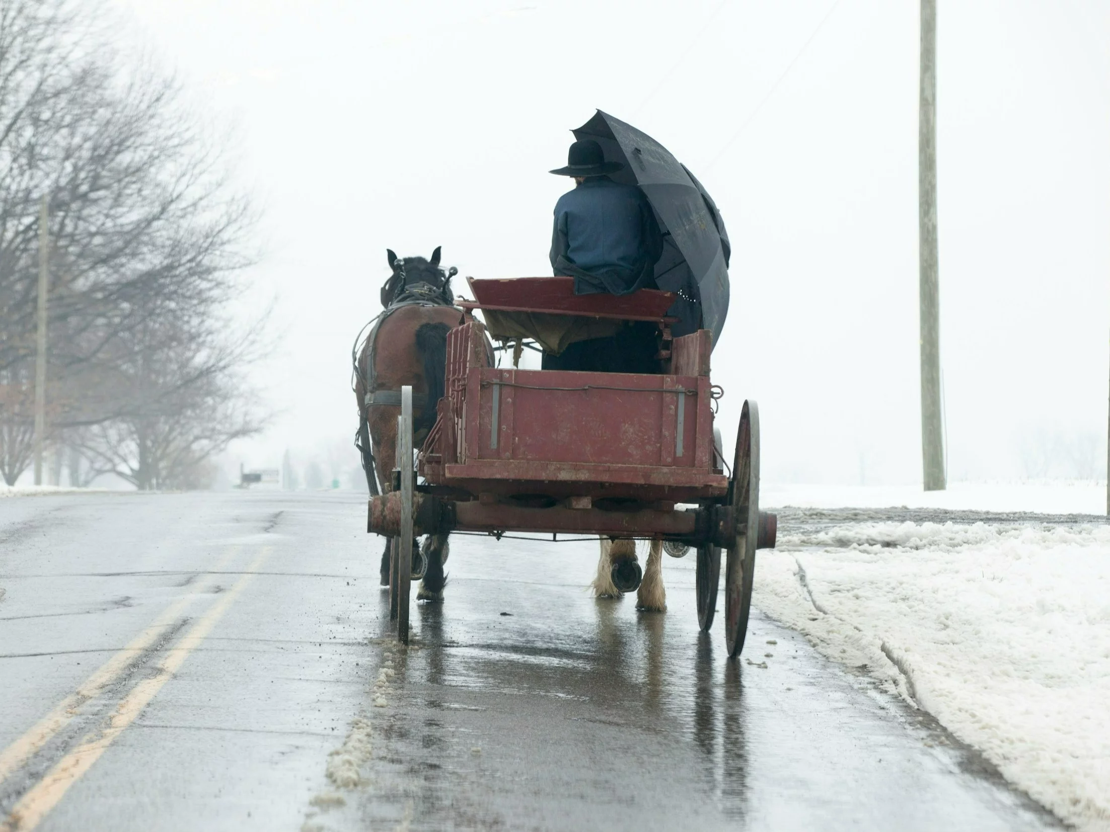 Zakręcony QUIZ z polskich przysłów. Skup się, bo łatwo stracić punkt