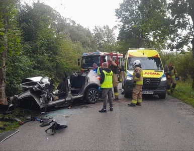 Miniatura: Tragedia koło Olsztyna. Niemowlę i...