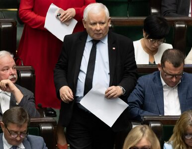 Miniatura: Kaczyński kontra młoda reporterka. Jest...