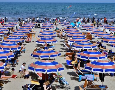 Miniatura: Ten problem rozgrzał włoskie plaże. W...