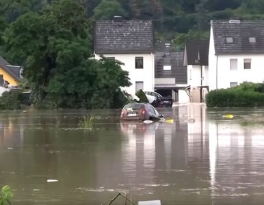Miniatura: Powodzie w Niemczech, wzrasta liczba...