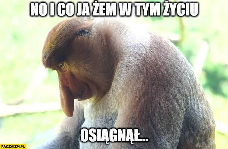 Smutny mem z nosaczem 