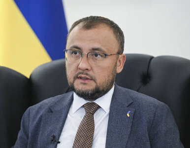 Miniatura: Ambasador Ukrainy: Ze strony Polaków miało...