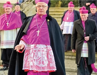 Miniatura: Episkopat opublikuje białą księgę pedofilii