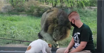 Wizyta zwierząt ze schroniska w zoo 