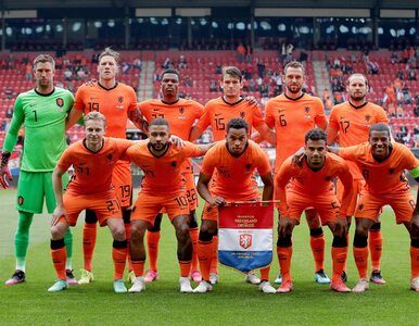 Miniatura: Reprezentacja Holandii w piłce nożnej