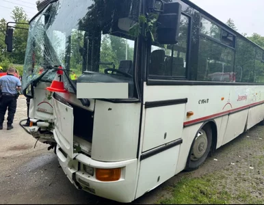 Miniatura: Wypadek autobusu z dziećmi tuż za granicą...