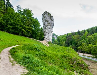 Miniatura: Parki narodowe w Polsce. Quiz, który...
