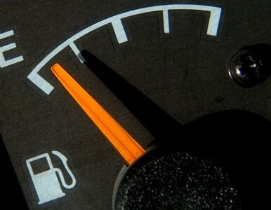 Miniatura: W tym roku paliwo już nie zdąży podrożeć?