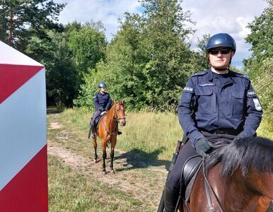 Miniatura: Nowe patrole na granicy z Białorusią....