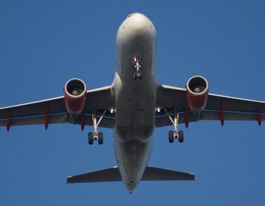 Miniatura: Lufthansa odwołuje loty