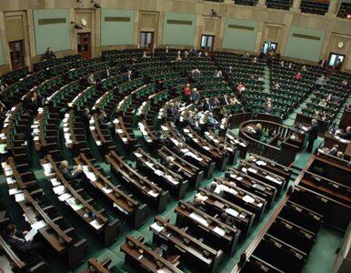 Miniatura: Sejm: Wołyń to nie ludobójstwo