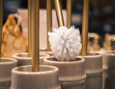 Miniatura: Ta rzecz w toalecie jest siedliskiem...