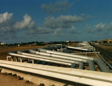 Miniatura: Libijskie terminale naftowe zablokowane