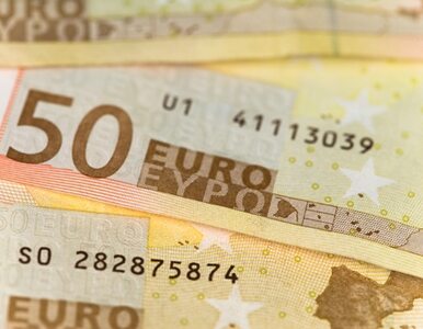 Miniatura: Polacy nie chcą wprowadzenia euro?