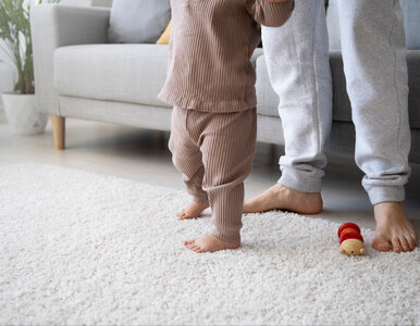 Miniatura: Twoje dywany znów czyste i puszyste!...