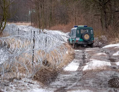 Miniatura: Polskie służby znalazły ciało na granicy....