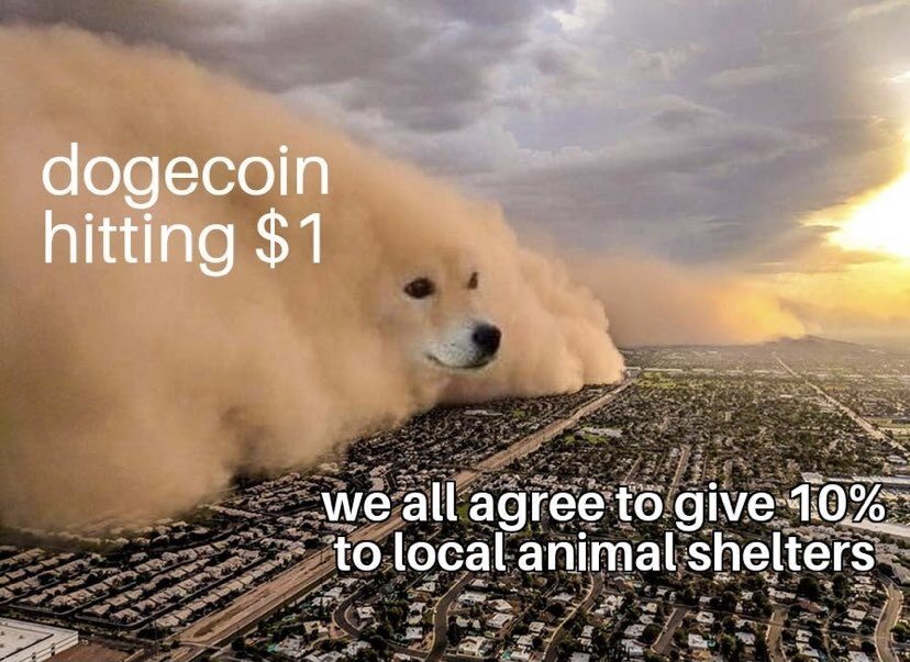 Mem podsumowujący zamieszanie z Dogecoin 