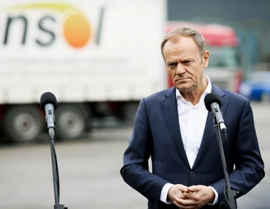 Miniatura: Tusk zabiera w trasę słynne seicento?...