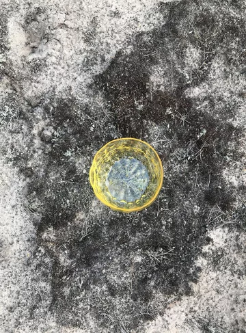 Agnieszka Bar, The Inner Power FLOW, GROUND, SUN 