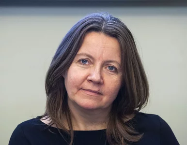 Miniatura: Niemcy chcą pomóc Polsce. Lichocka: Niech...