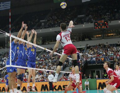 Miniatura: Koszmar reprezentacji Polski siatkarzy....