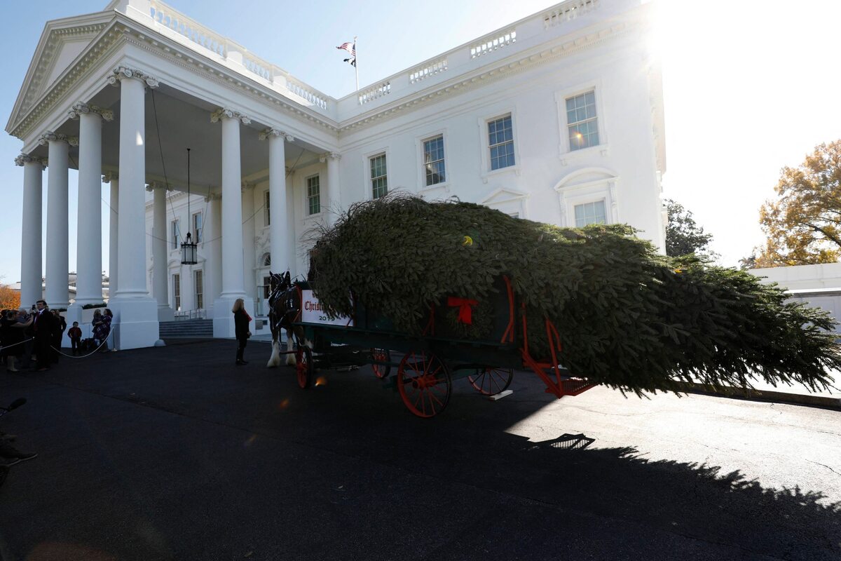 Świąteczna choinka dotarła do Białego Domu. Odebrała ją Melania Trump 