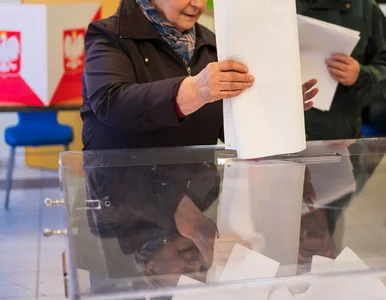 Miniatura: „Cuda nad urną” i nieprawidłowości....
