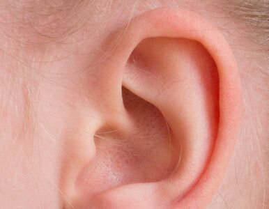 Miniatura: Domowe sposoby na zapalenie ucha