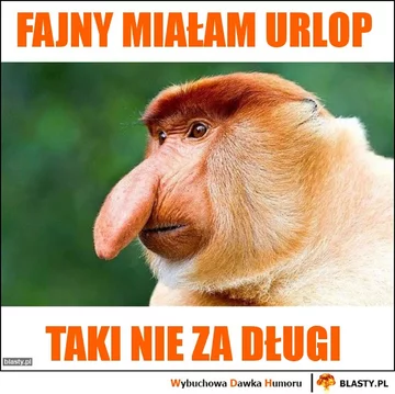 Dzień wolny? Internauci odpowiadają memami 