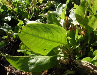 Miniatura: Zostawiłam go na sezon. To, co...