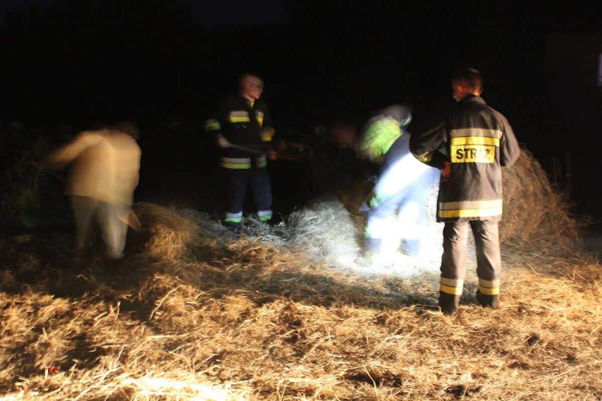 Strażacy nakarmili zwierzęta 