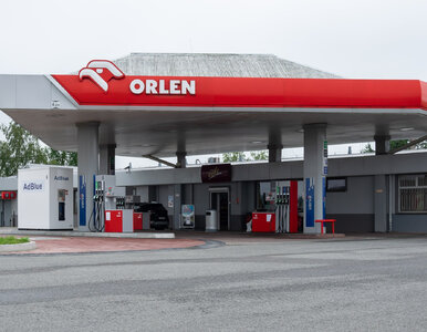 Miniatura: Orlen uruchomił nową promocję dla...