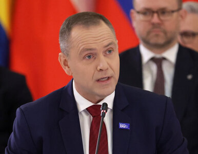 Miniatura: Internauci ocenili angielski Nawrockiego....