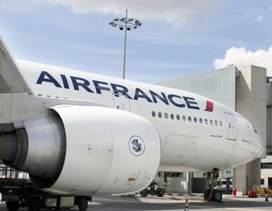 Miniatura: Francja zakazuje lotów na krótkich...