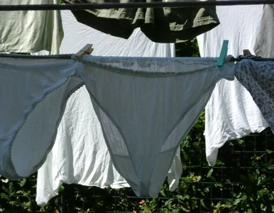 Miniatura: Mężczyzna w slipkach chciał... widzieć się...