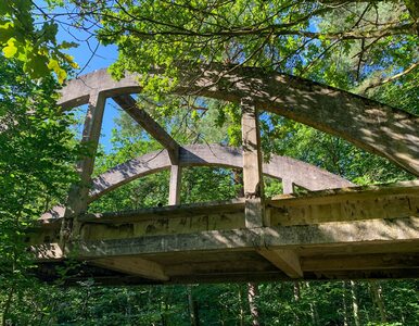 Miniatura: W polskim lesie znajdują się mosty...