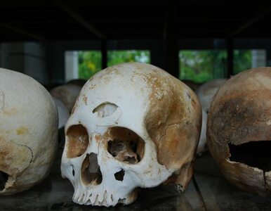 Miniatura: Archeolodzy odkryli szkielety, które mają...