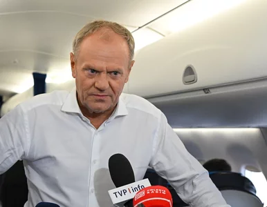 Miniatura: Premier Tusk zaapelował do Nawrockiego i...