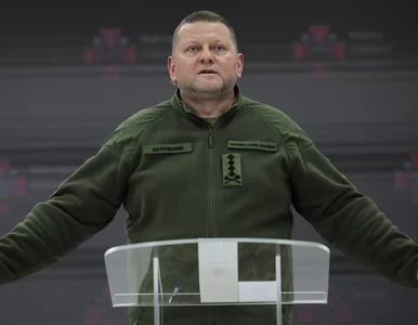 Miniatura: Załużny zwołał konferencję. Nie szczędził...