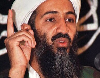 Miniatura: Bin Laden nie panował nad swoimi...