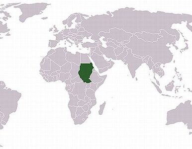 Miniatura: W Sudanie kryzys. Nadejdzie arabska wiosna?