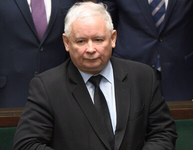 Miniatura: Kaczyński skomentował spotkanie Dudy z...