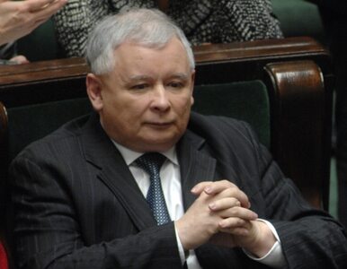 Miniatura: Jarosław Kaczyński będzie ponownie...