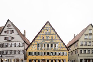 Hotel Golden Rose, projekt *noa